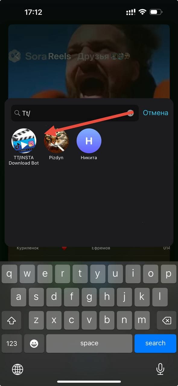 скачать видео с инстаграм без водяного знака отправить ссылку боту в Telegram