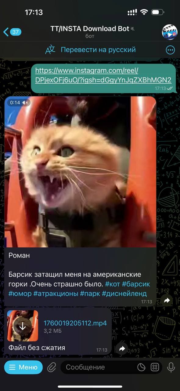 скачать видео с инстаграм тг сохранить видео в галерею