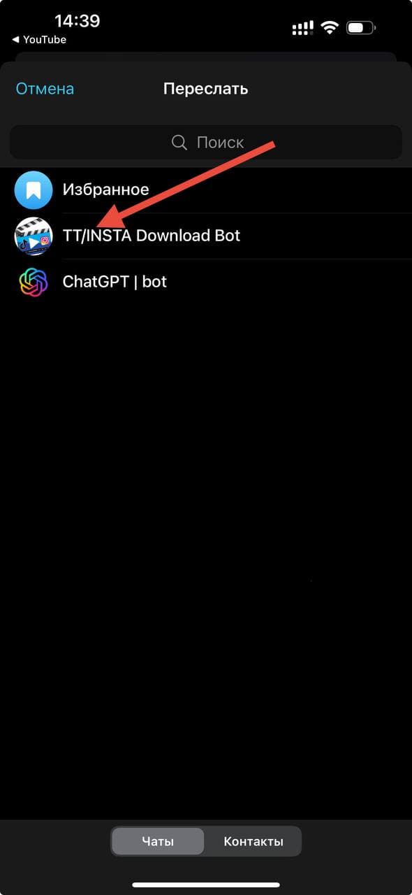 Отправка ссылки на видео боту в Telegram